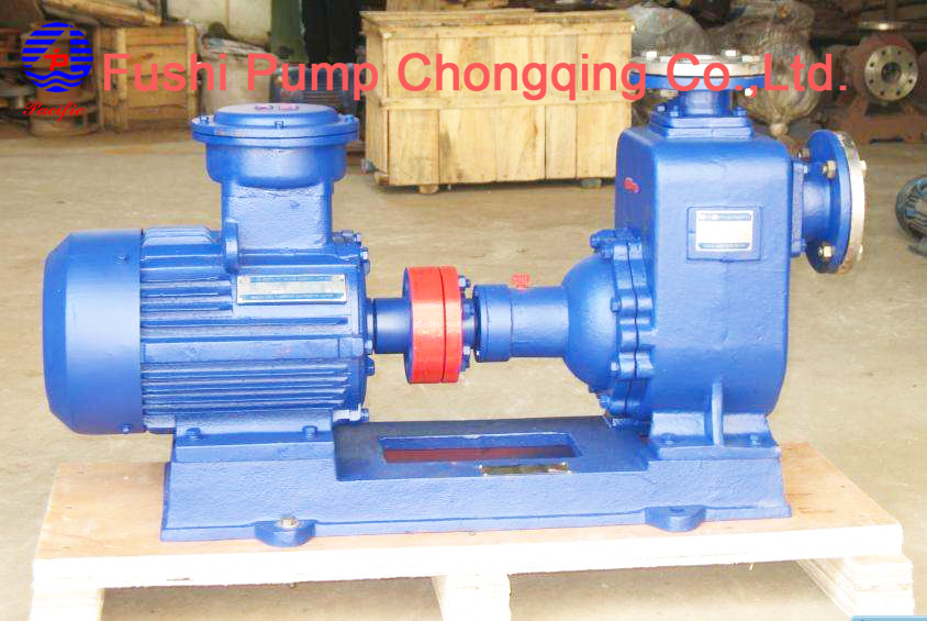 cwz marine Ballast water pump2.jpg